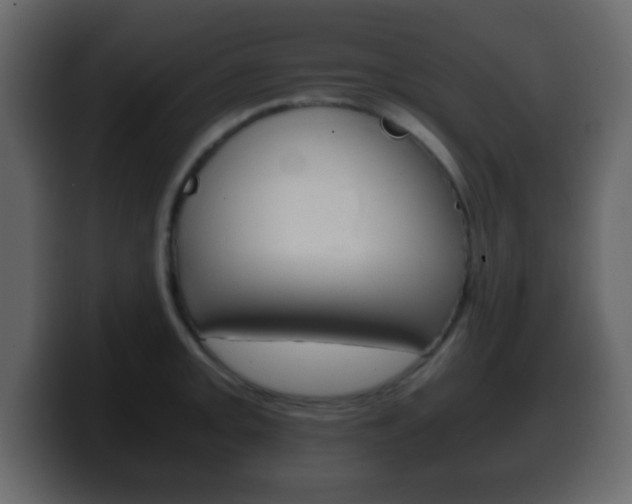 X0000100401093200806060849