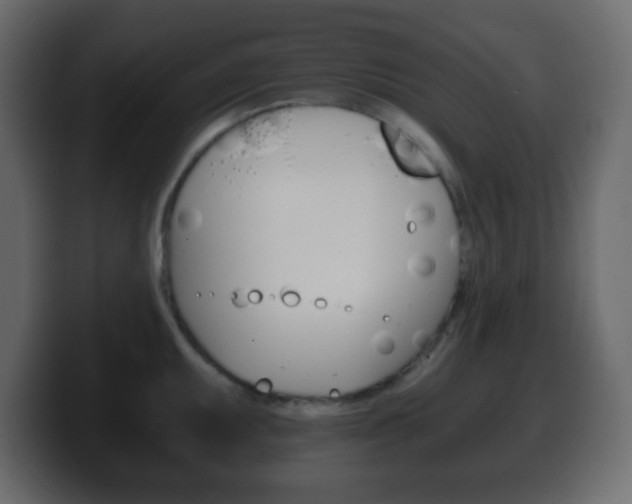 X0000100401095200806060849