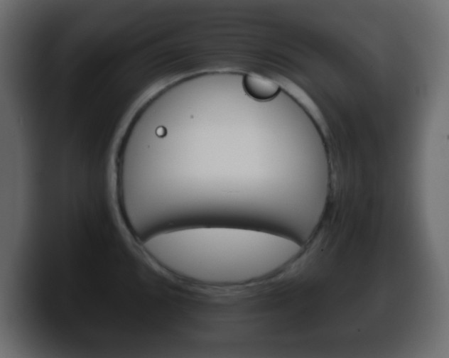X0000100401096200806060849