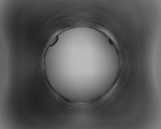 X0000100401097200806060849