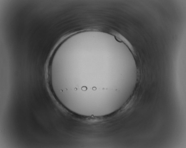 X0000100401099200806060849