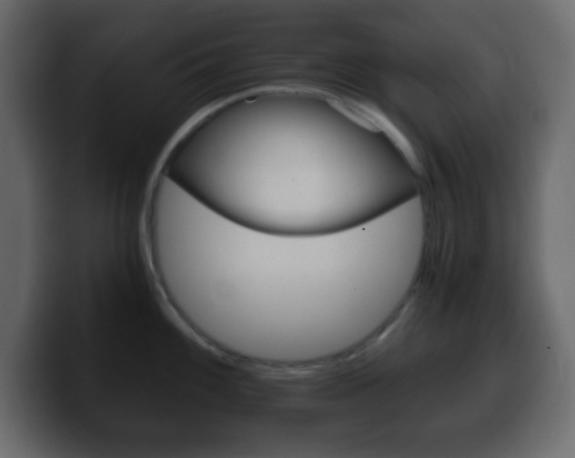 X0000100401100200806060849