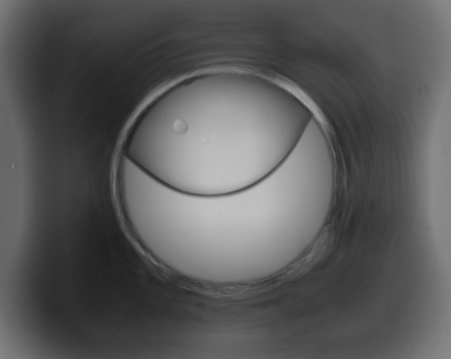 X0000100401101200806060849