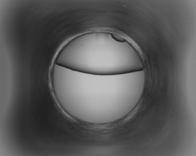 X0000100401102200806060849