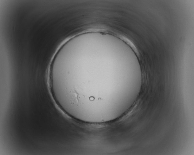X0000100401103200806060849