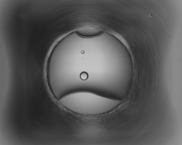X0000100401104200806060849