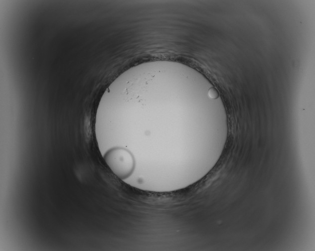 X0000100401106200806060848