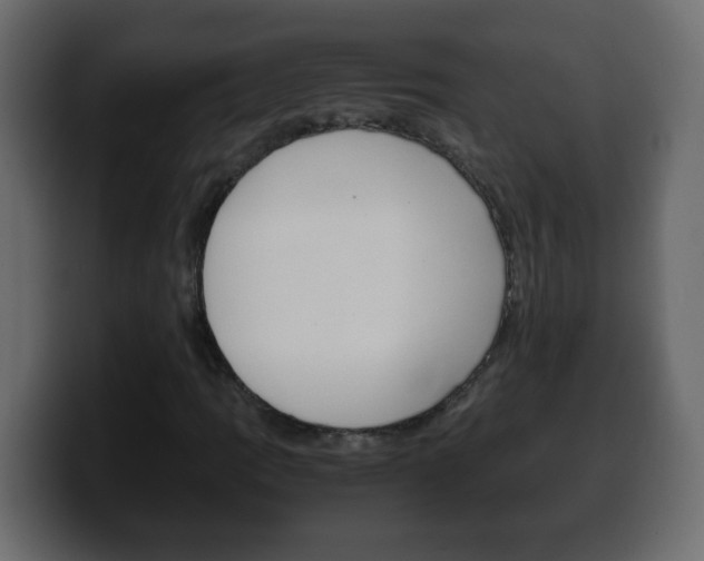 X0000100401109200806060848