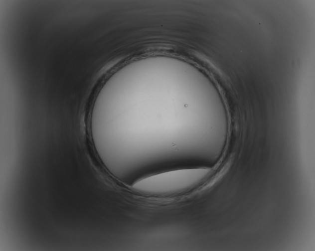 X0000100401113200806060848