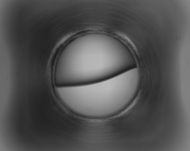 X0000100401114200806060848