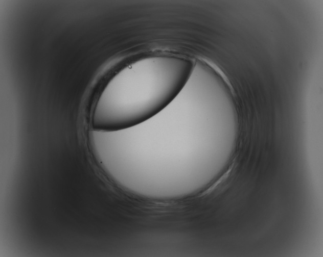 X0000100401115200806060848