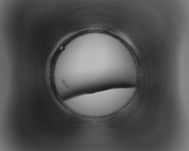 X0000100401116200806060848