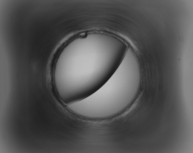 X0000100401118200806060848