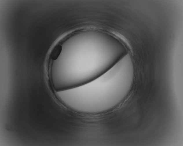 X0000100401120200806060848