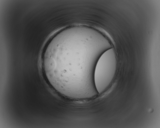 X0000100401125200806060848