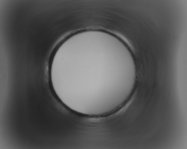 X0000100401126200806060849