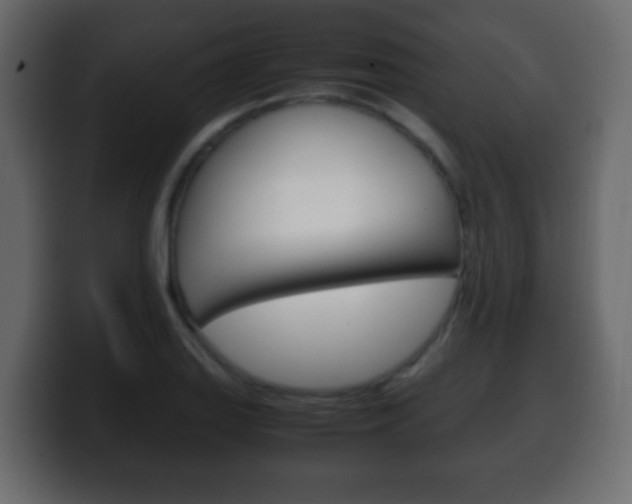 X0000100401127200806060849