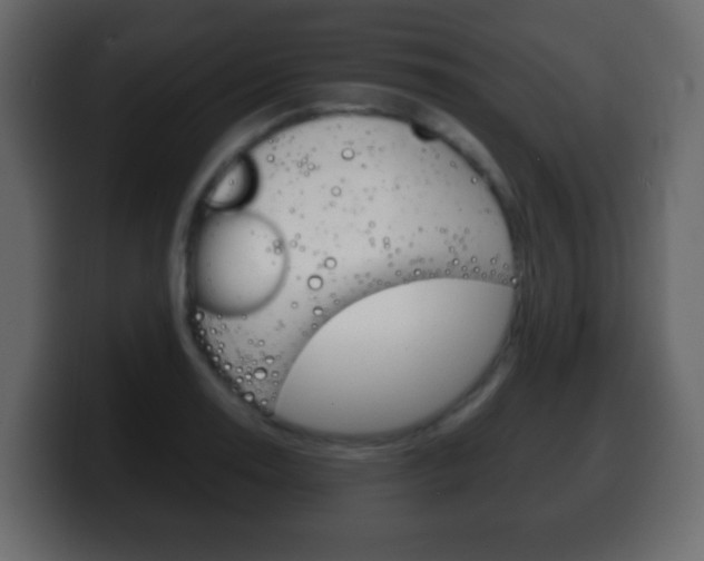 X0000100401130200806060849