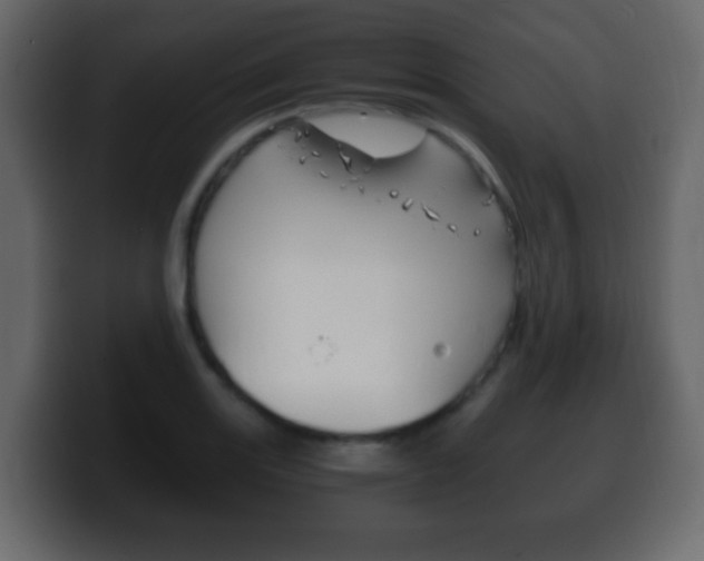 X0000100401131200806060849