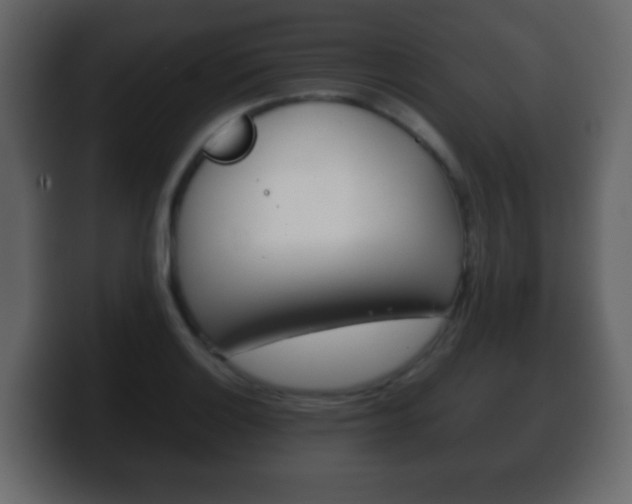X0000100401132200806060849