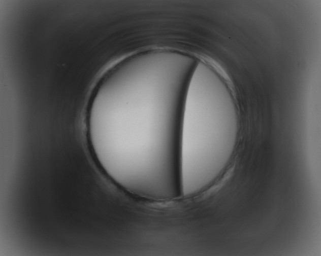 X0000100401133200806060849