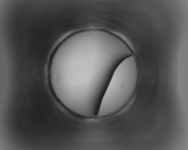 X0000100401134200806060849