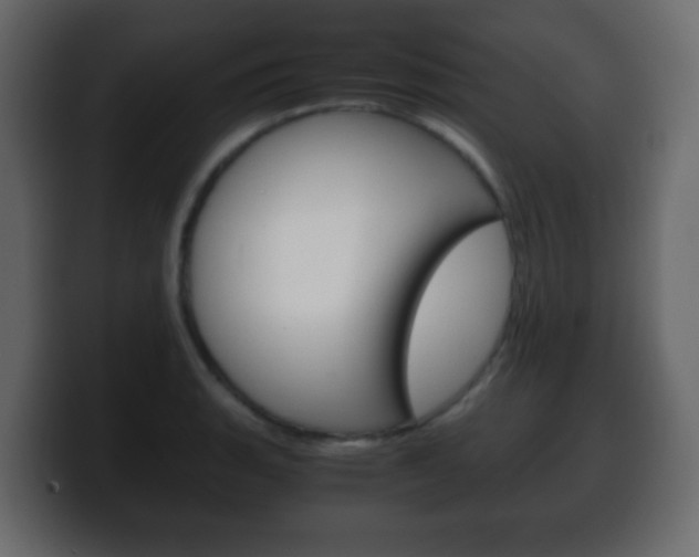 X0000100401135200806060849