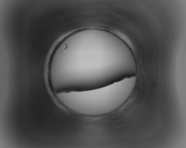 X0000100401136200806060849
