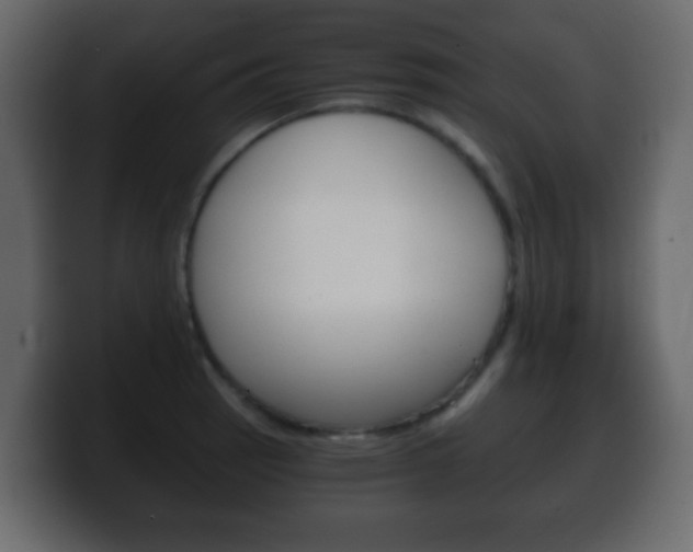 X0000100401137200806060849