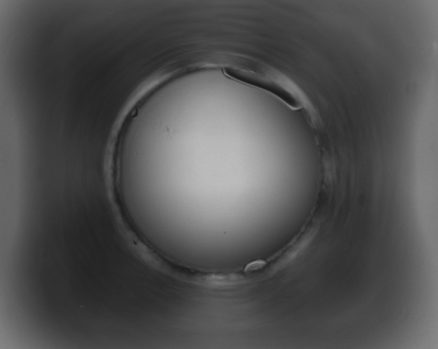 X0000100401138200806060849