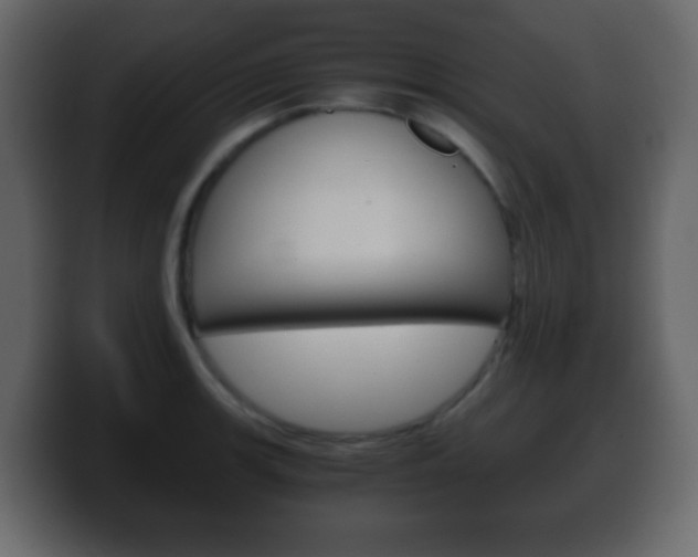 X0000100401139200806060849