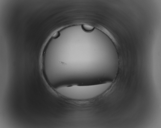 X0000100401140200806060849