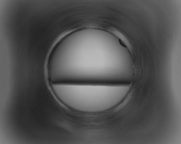 X0000100401141200806060849