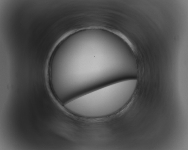 X0000100401142200806060849