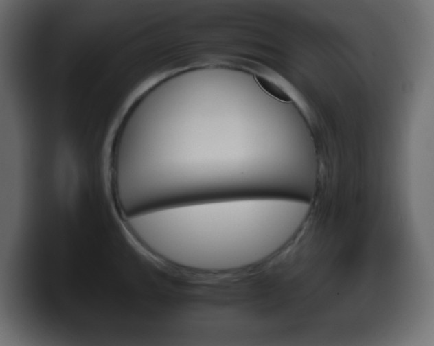 X0000100401143200806060849