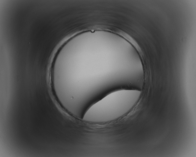 X0000100401144200806060849