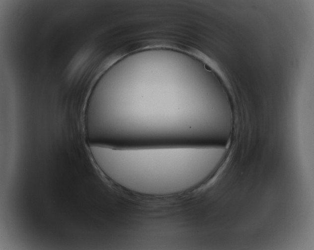 X0000100401145200806060849