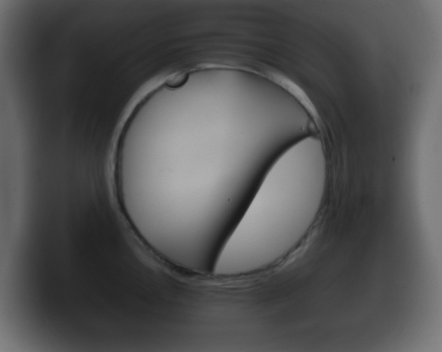 X0000100401146200806060849