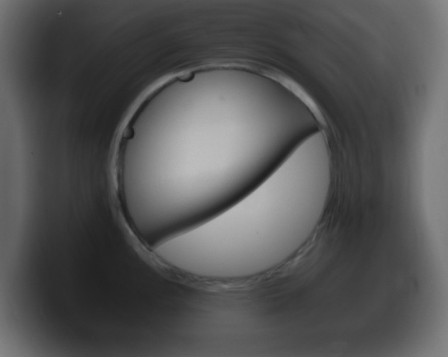 X0000100401148200806060849