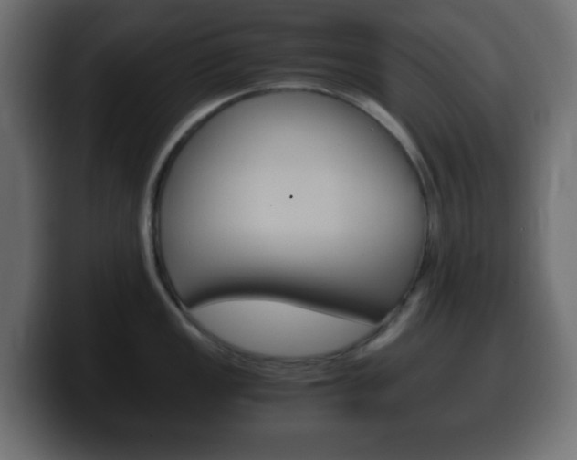 X0000100401149200806060849