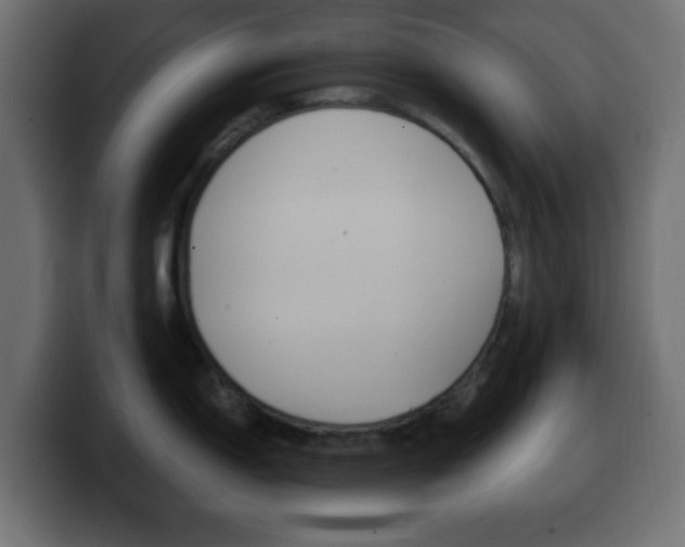 X0000100401150200806060849