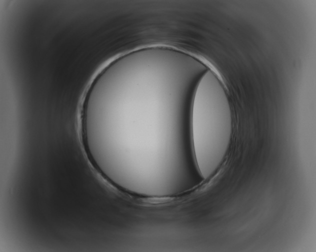 X0000100401151200806060849