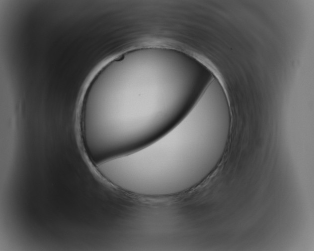 X0000100401152200806060849
