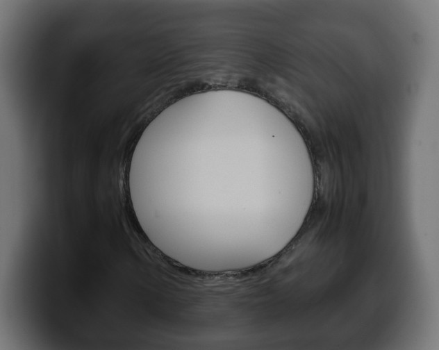 X0000100401154200806060848