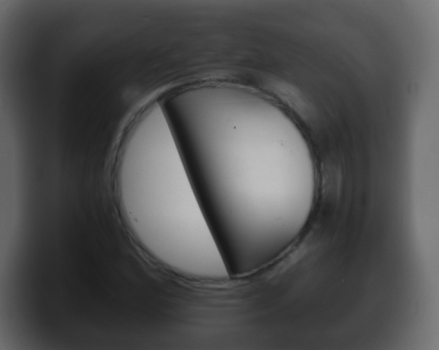 X0000100401164200806060848