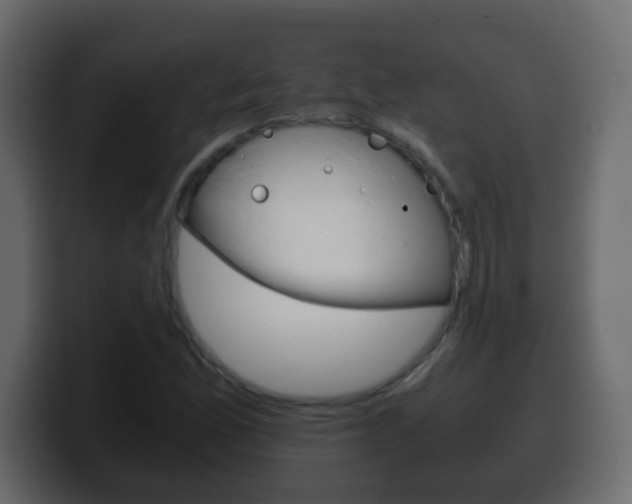 X0000100401165200806060848