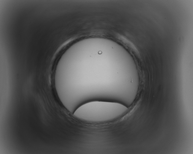 X0000100401166200806060848