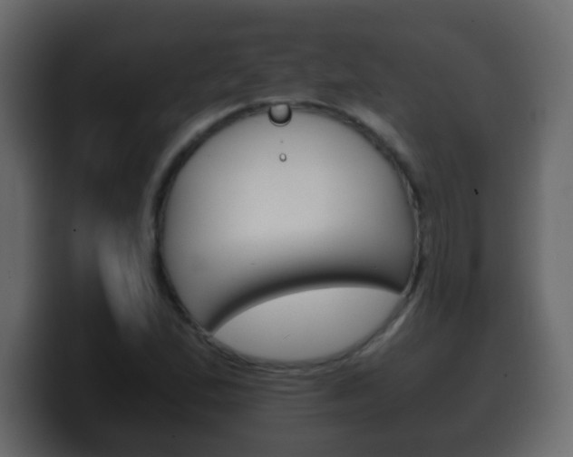 X0000100401167200806060848
