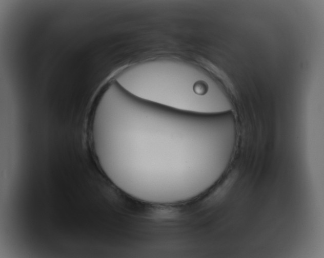 X0000100401170200806060848