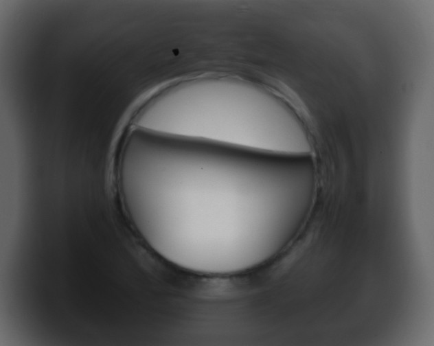 X0000100401172200806060848